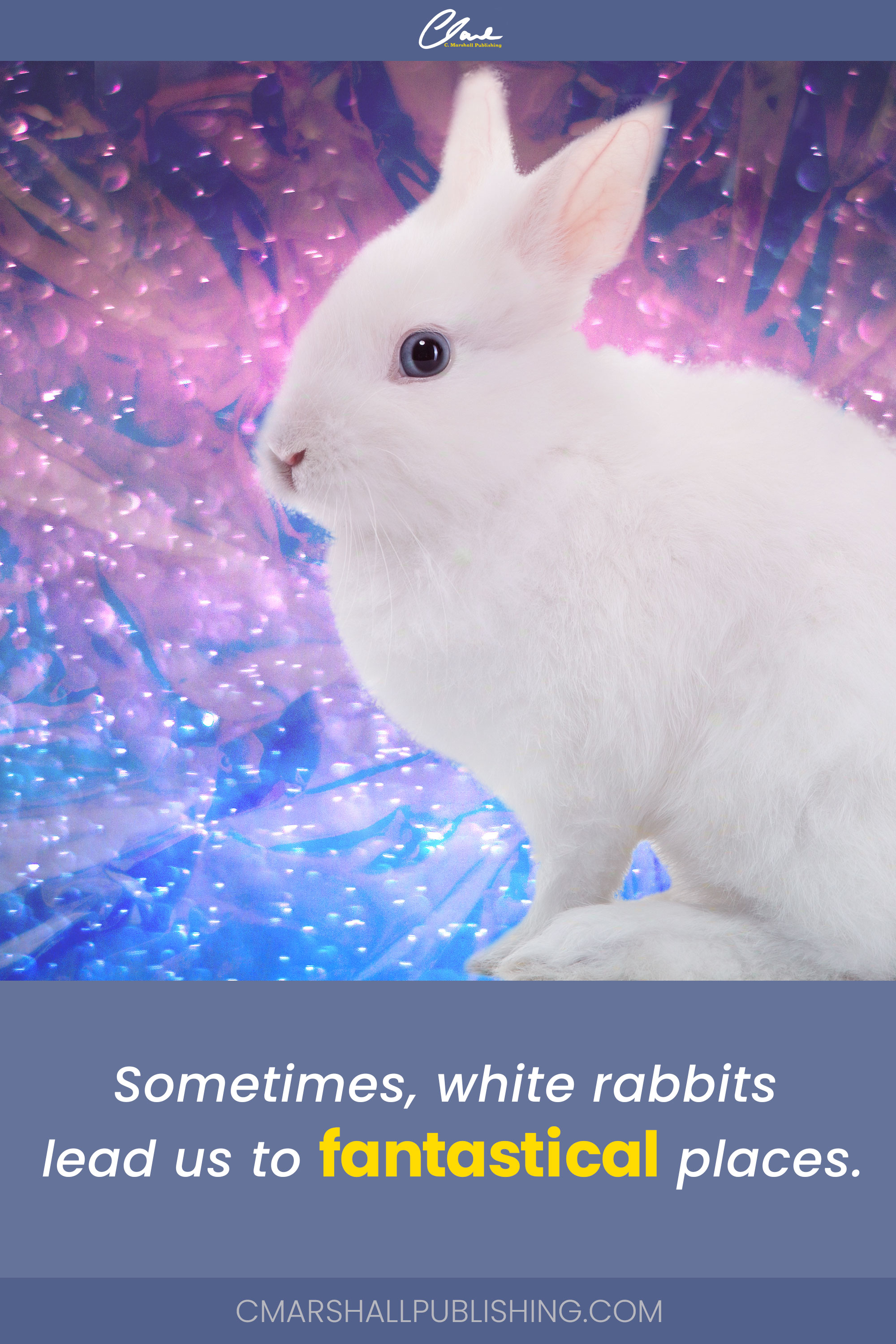 Sometimes, white rabbits lead us to fantastical places